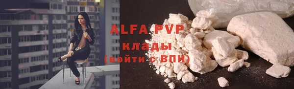 гидра Абаза