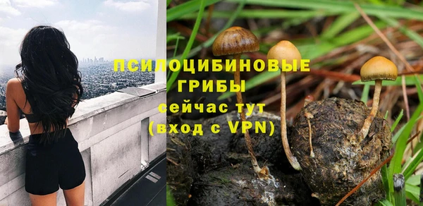 дурь Алзамай