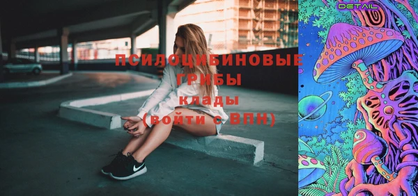 гидра Абаза