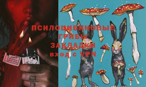 гидра Абаза