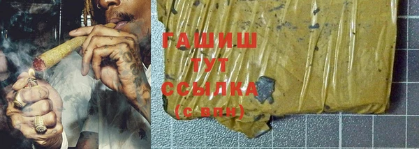 гидра Абаза