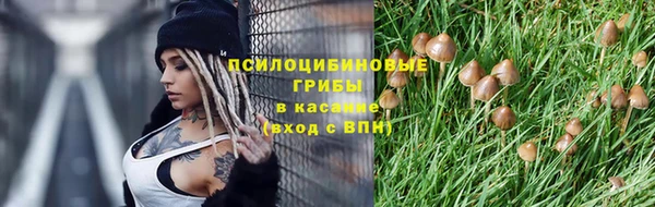 гидра Абаза