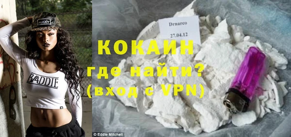 гидра Абаза
