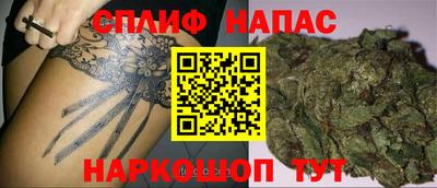 сатива Тула