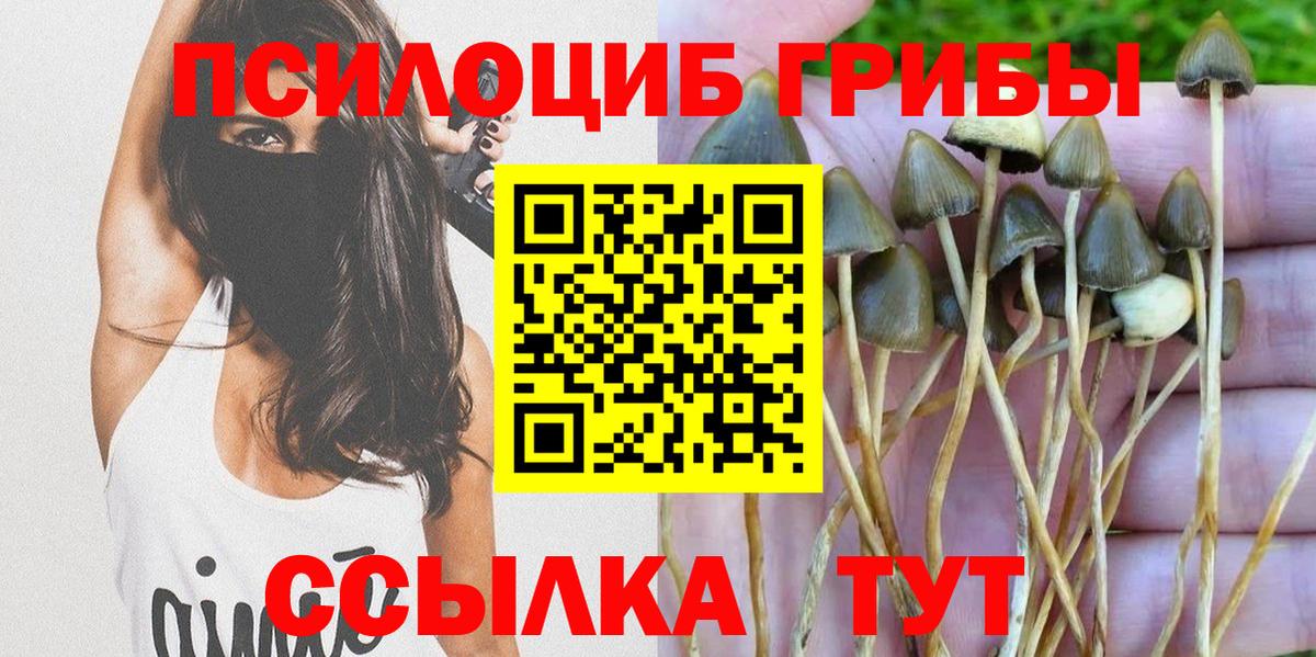 Юрга  сколько стоит  Вход с VPN  Псилоцибиновые грибы GOLDEN TEACHER 