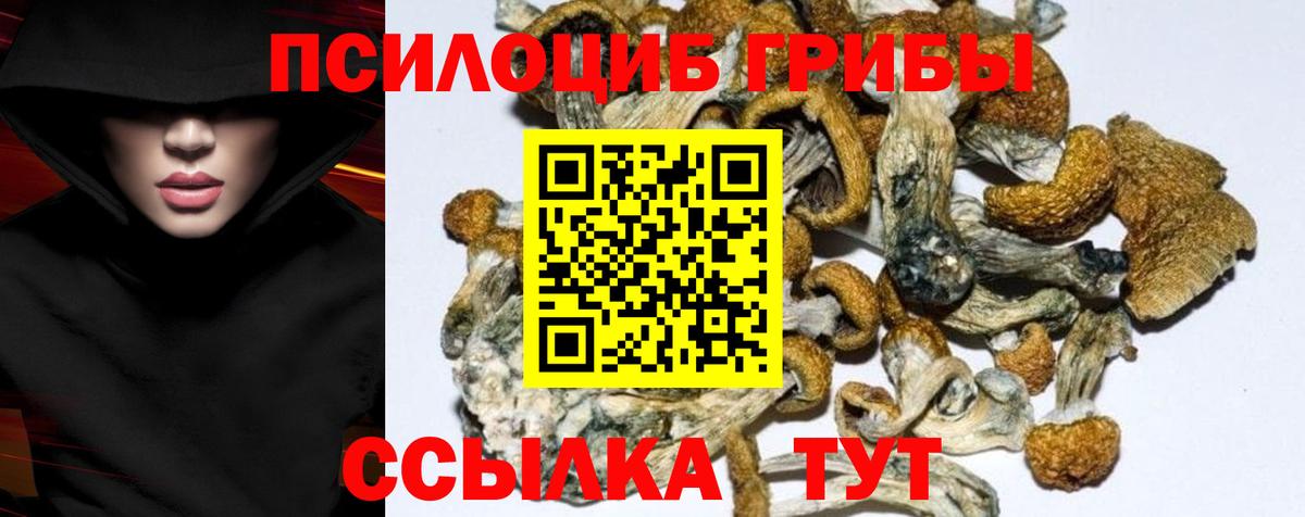 Псилоцибиновые грибы мицелий Юрга